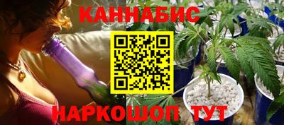 индика Будённовск