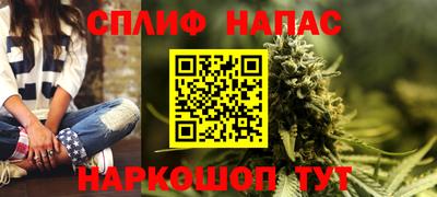 индика Будённовск