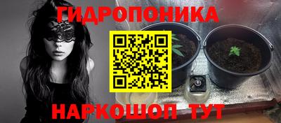 индика Будённовск