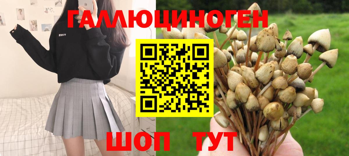 Галлюциногенные грибы GOLDEN TEACHER  Вход с VPN  Красноперекопск 